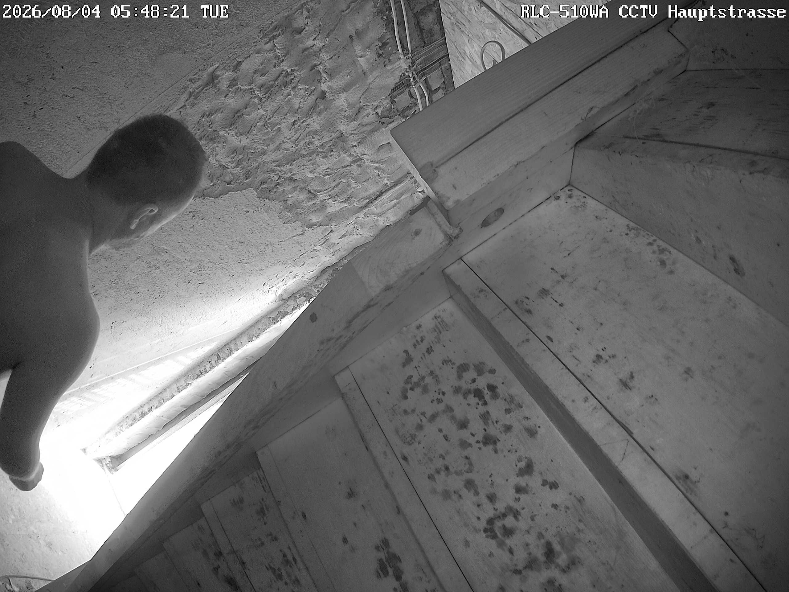 RLC-510WA CCTV Hauptstrasse_00_20260804054822.jpg